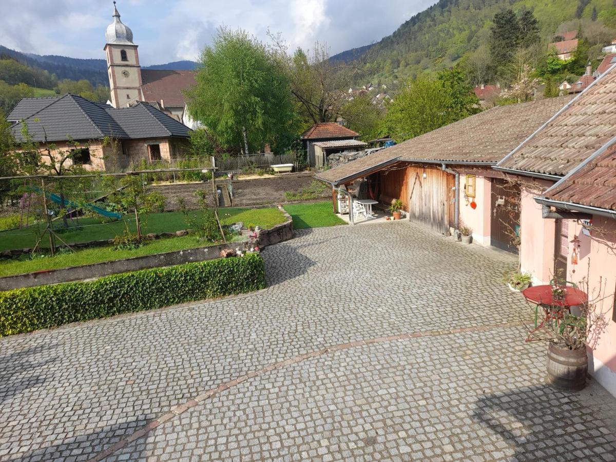 Charmant Petit Appartement Avec Bel Exterieur. Saint-Amarin Εξωτερικό φωτογραφία